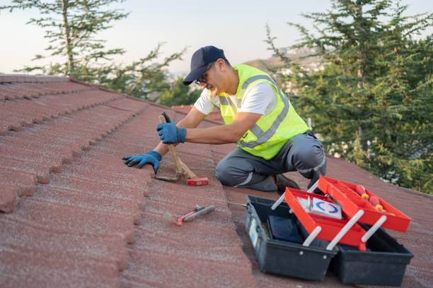 Best Flat Roof Repair Services  in Mikes, TX